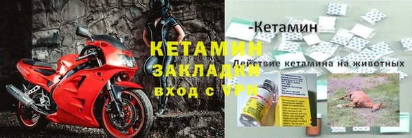 прущие крисы Верея